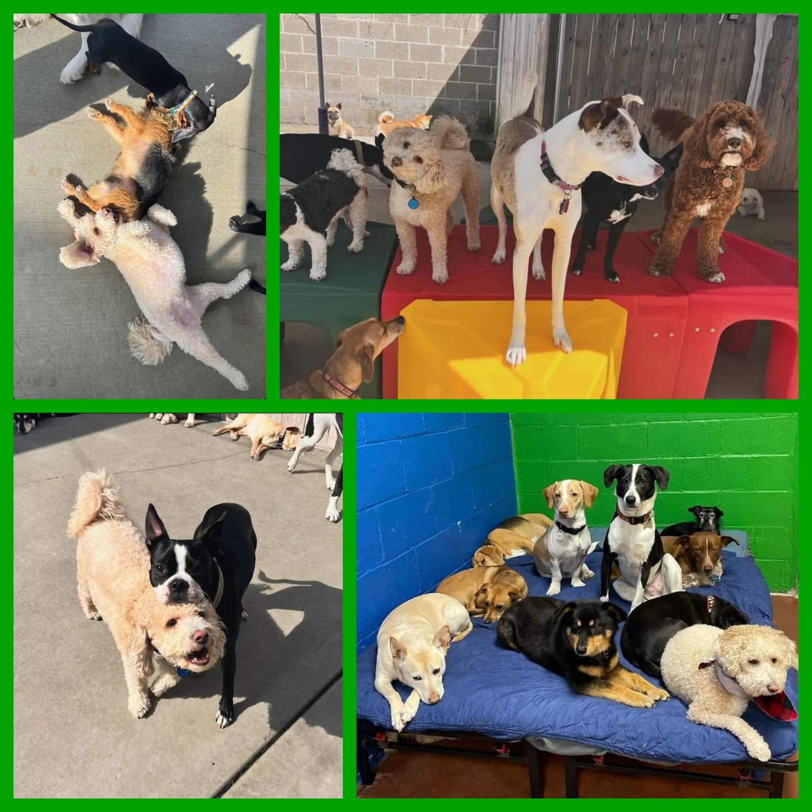 Harvey at Daycare
