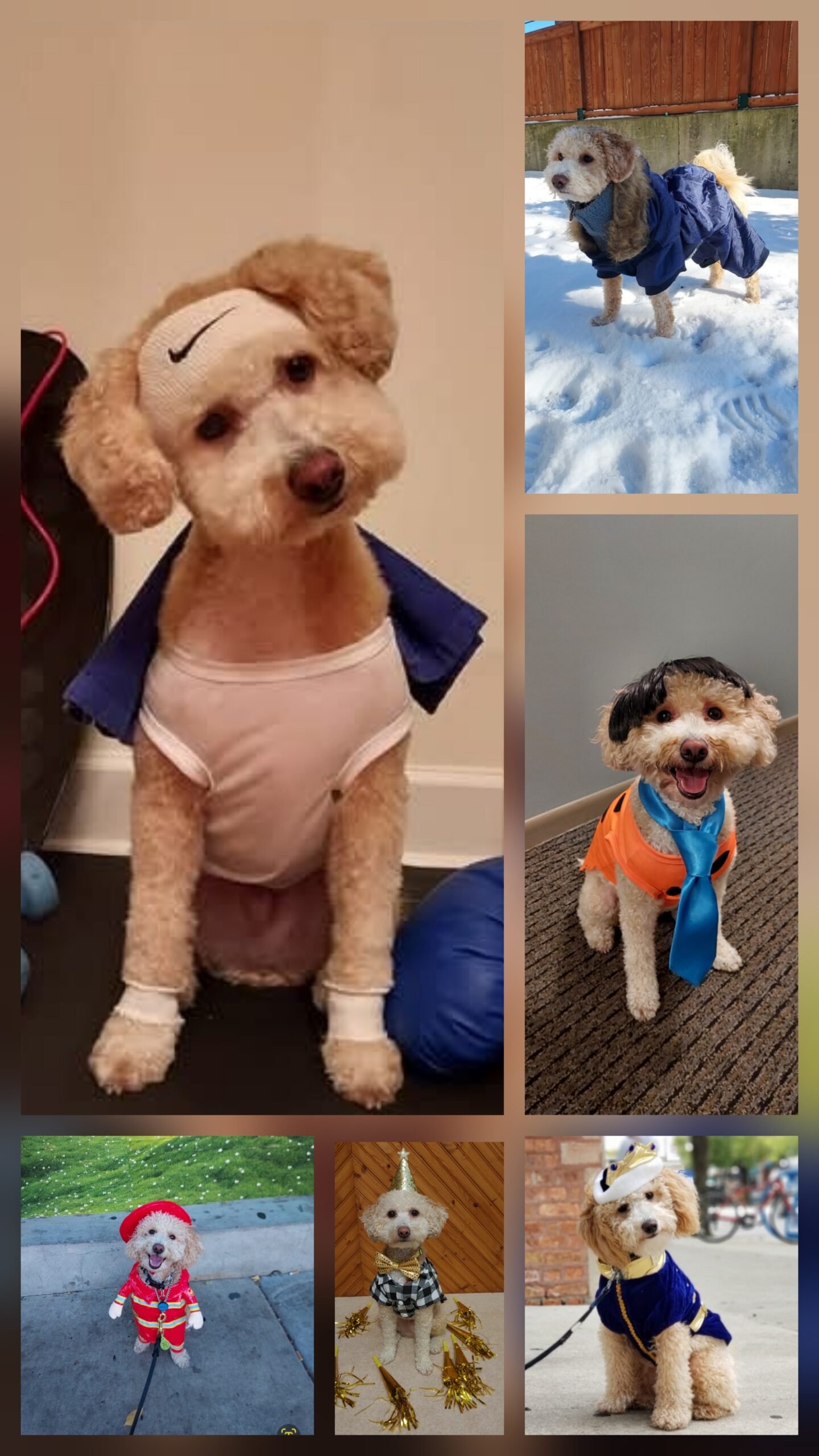 Harvey's Style