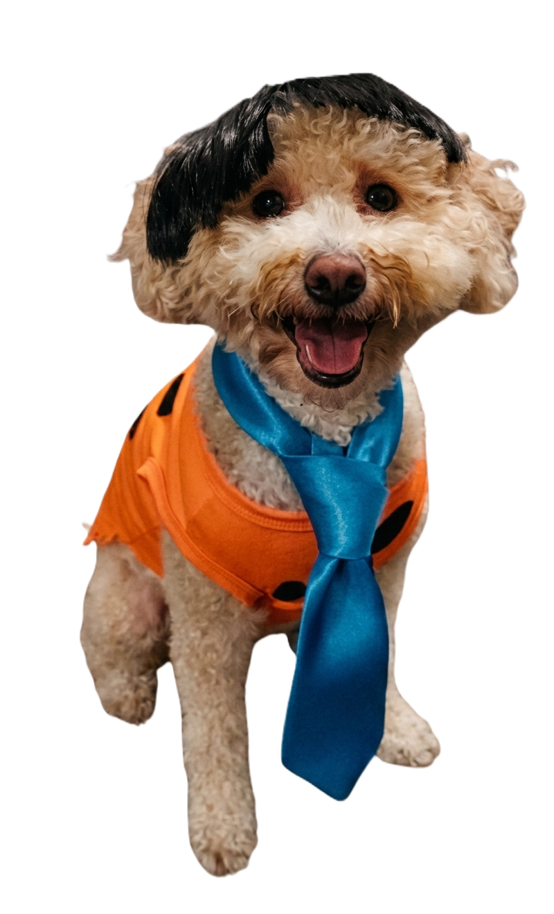 Harvey